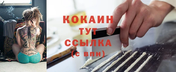 шишки Иннополис