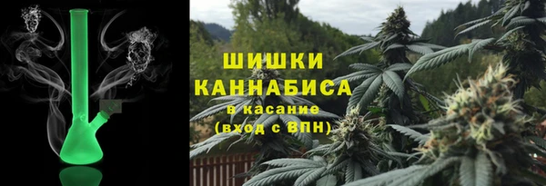 шишки Иннополис