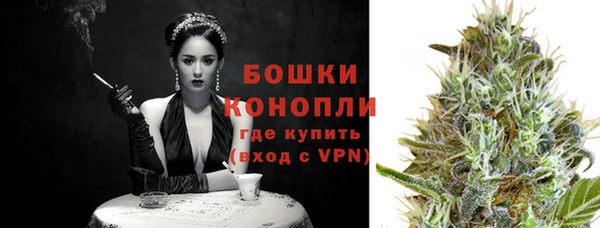 шишки Иннополис