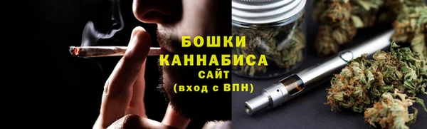 шишки Иннополис