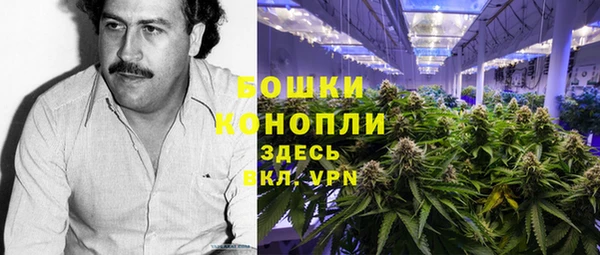 шишки Иннополис