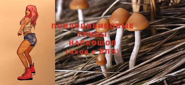 шишки Иннополис