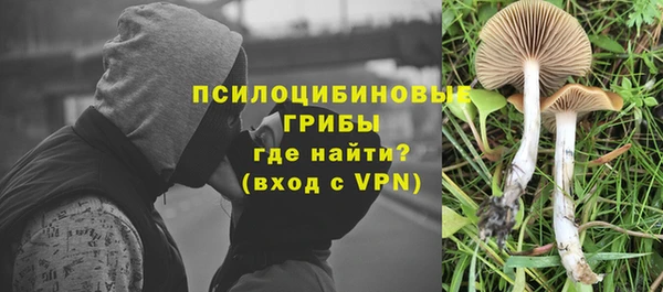 шишки Иннополис