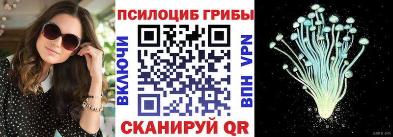 Галлюциногенные грибы мицелий как найти закладки Арзамас